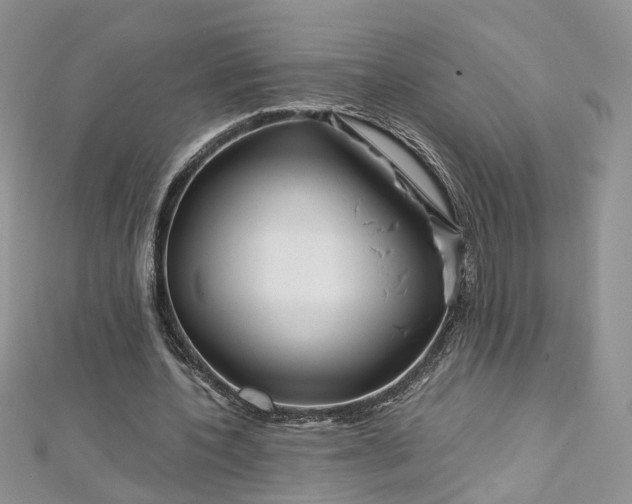 X0000112900532200909041725