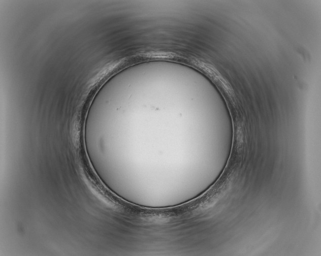 X0000112900533200909041725