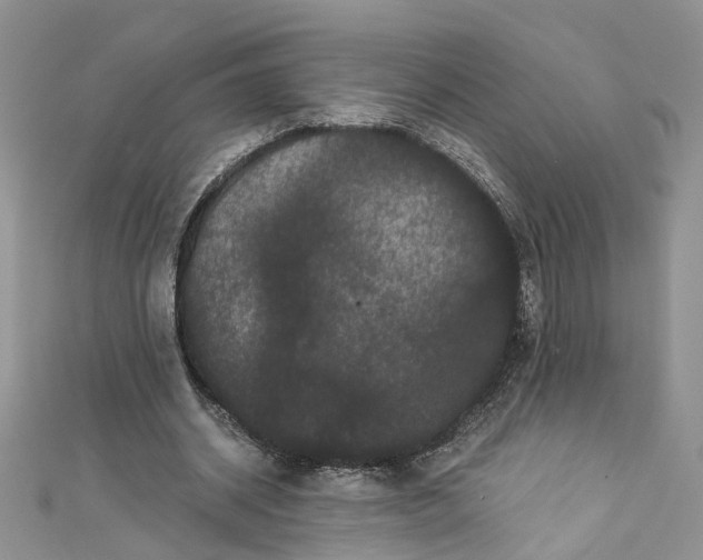 X0000112900534200909041725