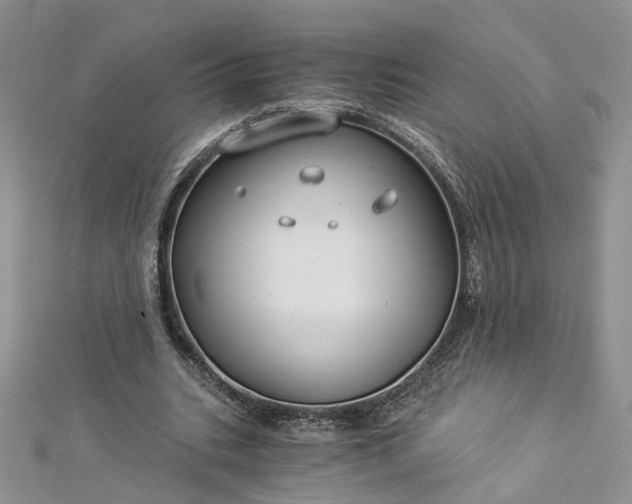 X0000112900535200909041725