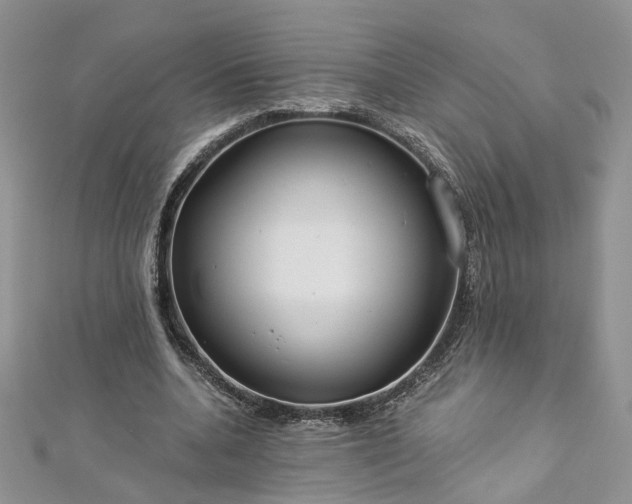 X0000112900536200909041725