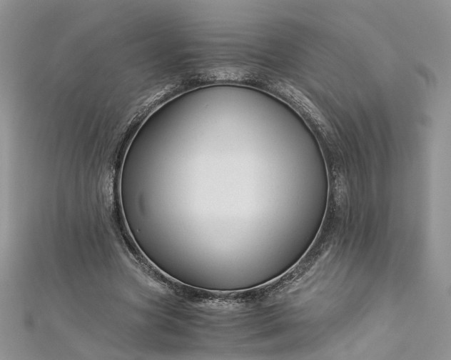 X0000112900537200909041725