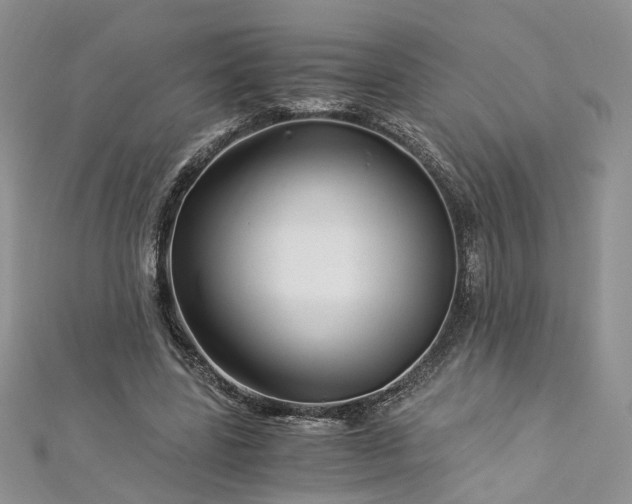 X0000112900539200909041725