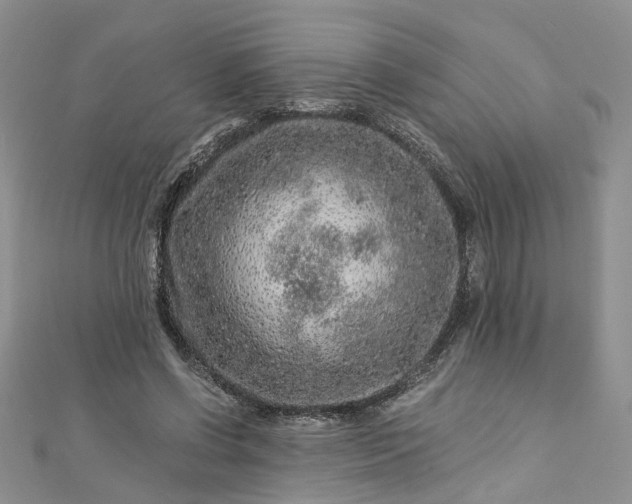 X0000112900542200909041725