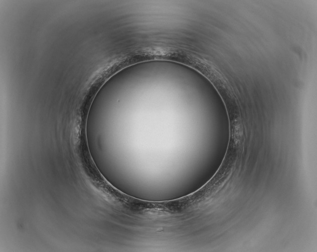 X0000112900544200909041725