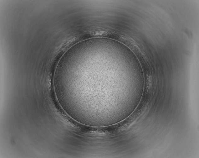 X0000112900545200909041725