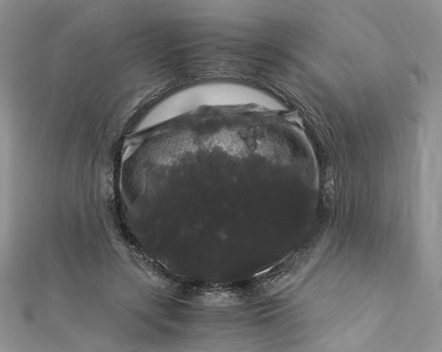 X0000112900547200909041725