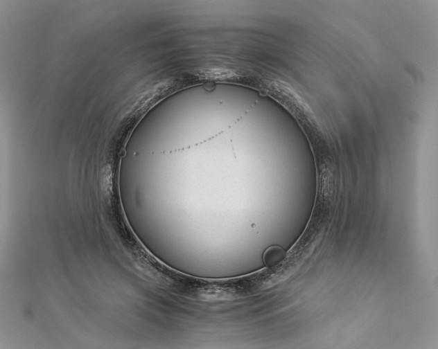 X0000112900549200909041725