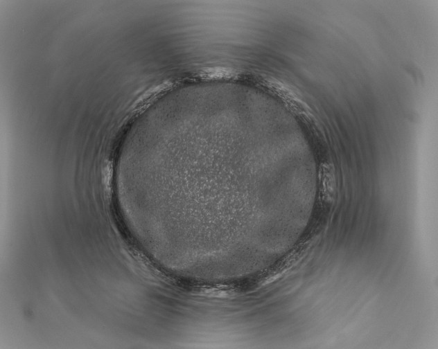 X0000112900550200909041725