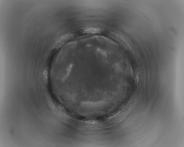 X0000112900551200909041725