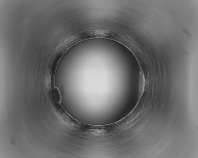 X0000112900552200909041725