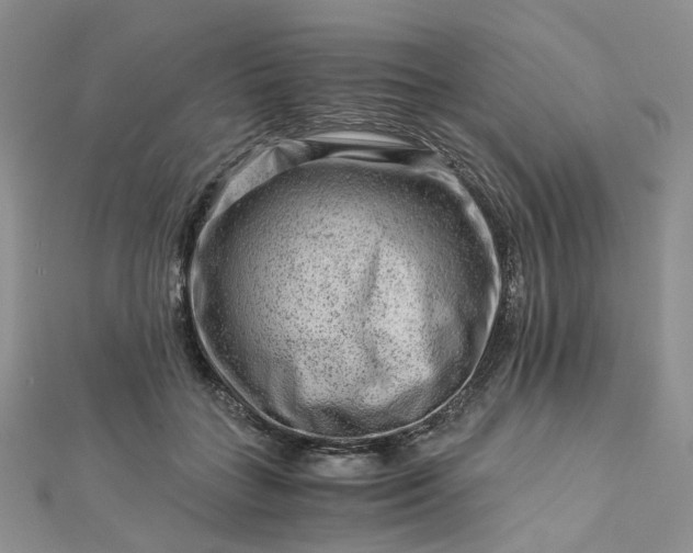 X0000112900555200909041725