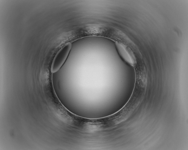 X0000112900556200909041725