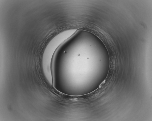 X0000112900558200909041725