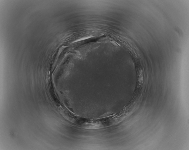 X0000112900559200909041725