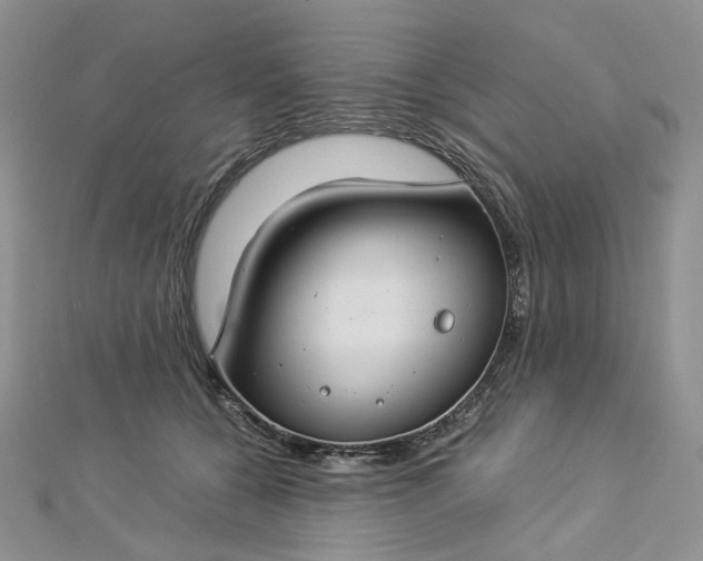 X0000112900560200909041725