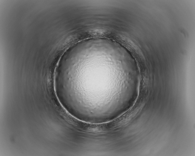 X0000112900561200909041725