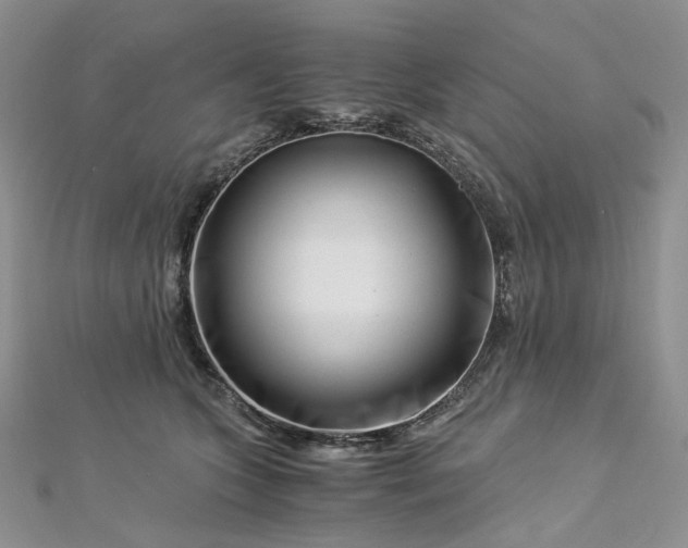 X0000112900563200909041725