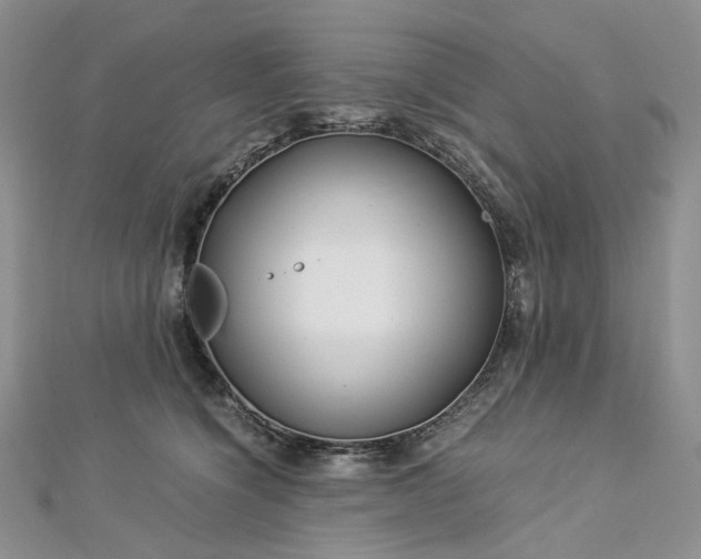 X0000112900564200909041725