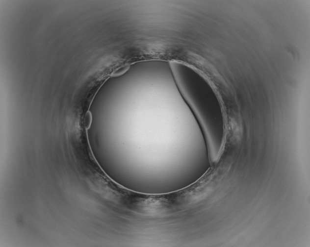 X0000112900566200909041725