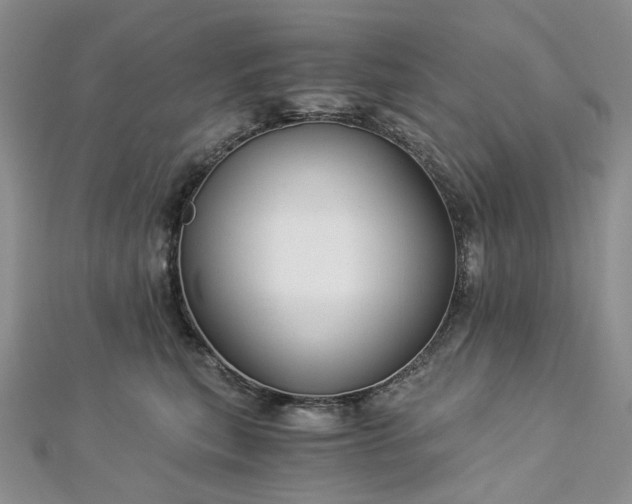 X0000112900567200909041725