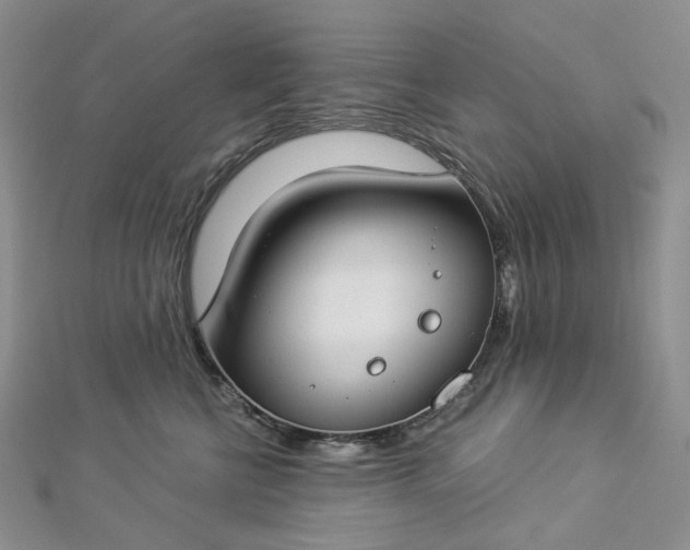 X0000112900570200909041725