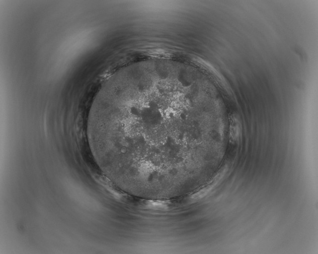 X0000112900573200909041725