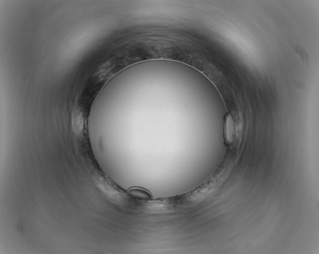 X0000112900574200909041725