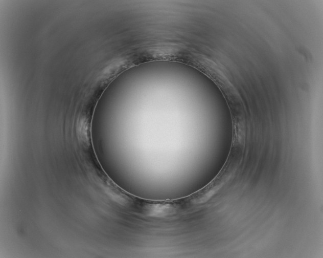 X0000112900575200909041725