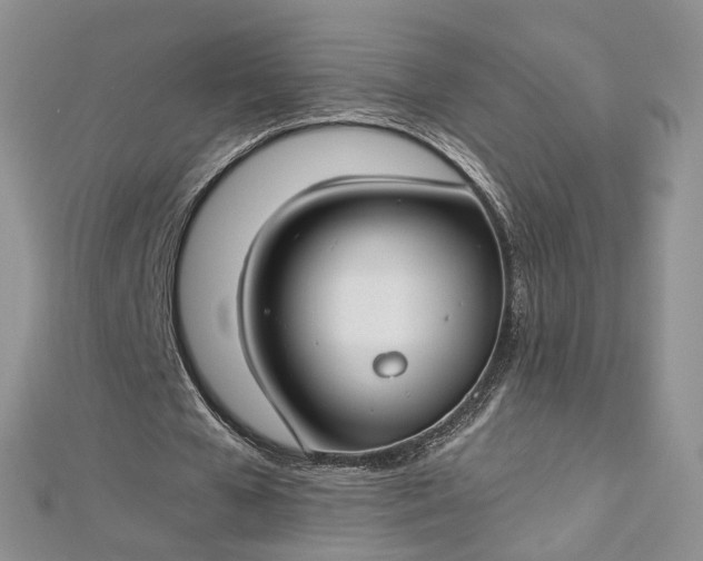 X0000112900577200909041724