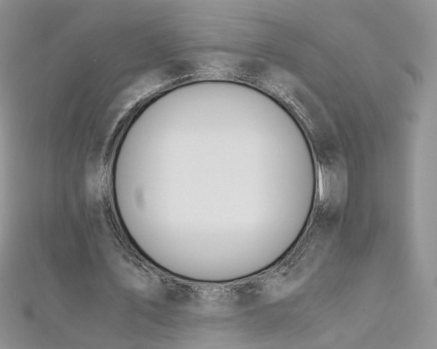 X0000112900579200909041724