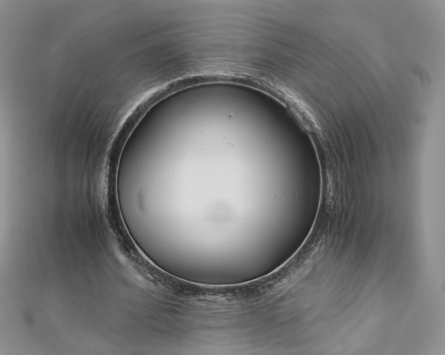 X0000112900580200909041724