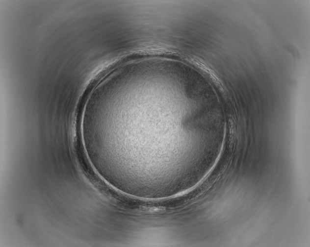 X0000112900582200909041724