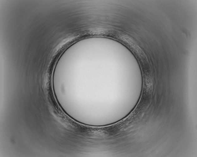 X0000112900583200909041724