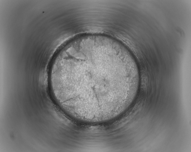 X0000112900584200909041724