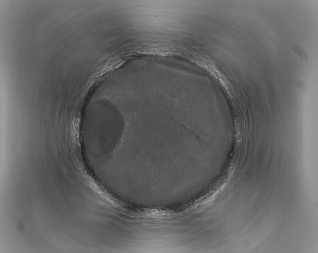 X0000112900585200909041724