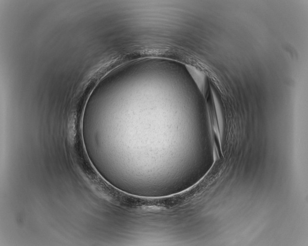 X0000112900586200909041724