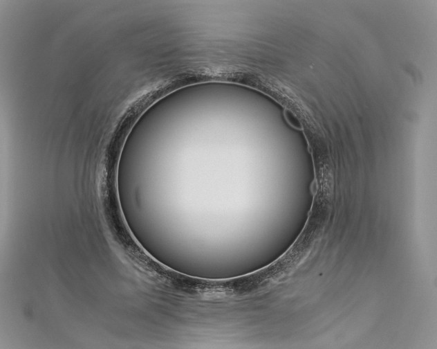 X0000112900587200909041724