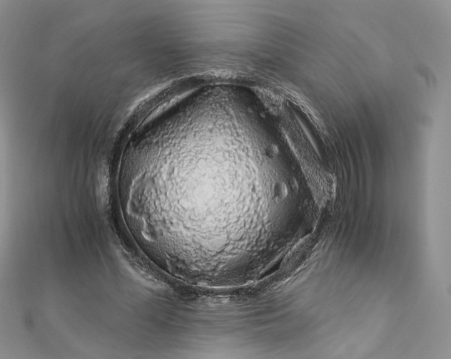 X0000112900588200909041724