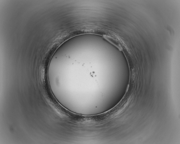 X0000112900589200909041724