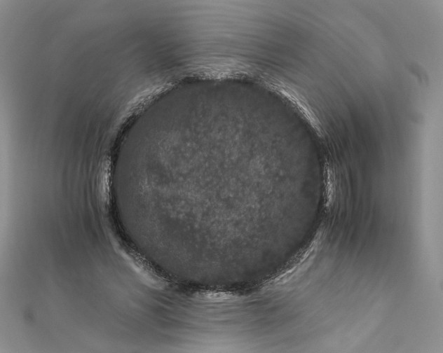 X0000112900590200909041724