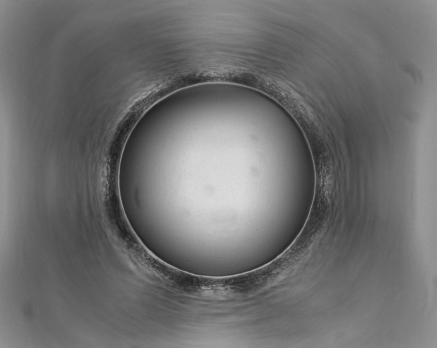 X0000112900591200909041724