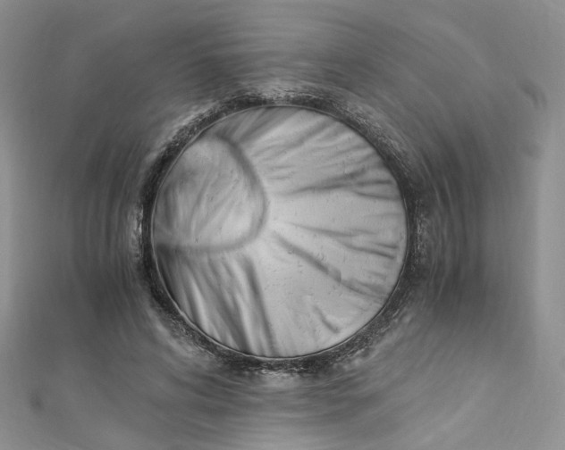 X0000112900592200909041724