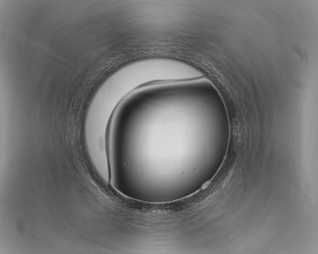 X0000112900593200909041724