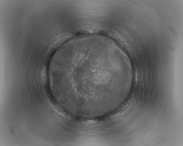 X0000112900594200909041724