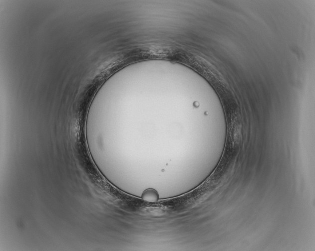 X0000112900595200909041724