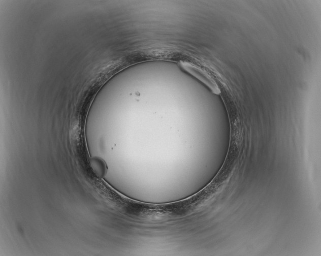 X0000112900597200909041724