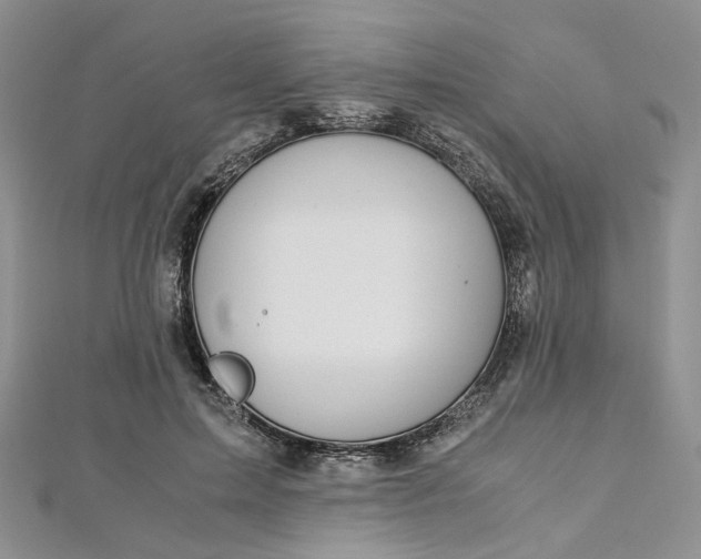 X0000112900599200909041724