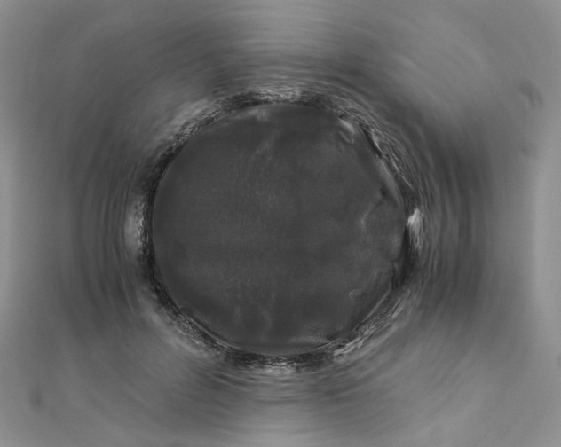 X0000112900600200909041724