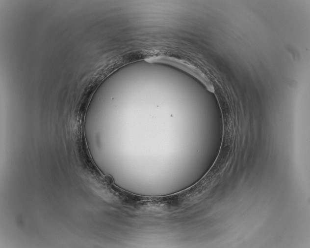 X0000112900601200909041724